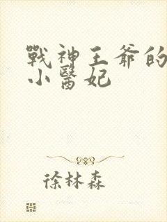 战神王爷的天才小医妃