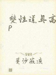 双性道具高hnp