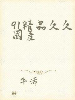 91精品久久久国产