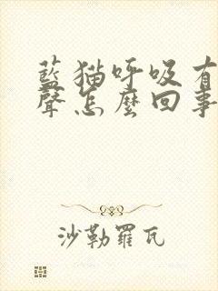蓝猫呼吸有呼噜声怎么回事