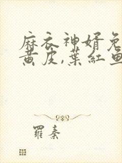 麻衣神婿免费陈黄皮,叶红鱼