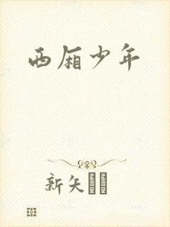 西厢少年封面