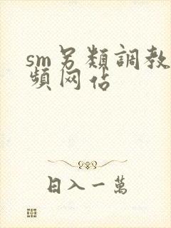 sm另类调教视频网站