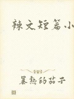 辣文短篇小可