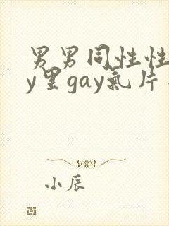 男男同性性gay里gay气片网站