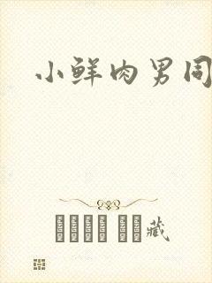 小鲜肉男同性