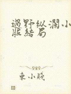 过野纵澜小说新版结局封面