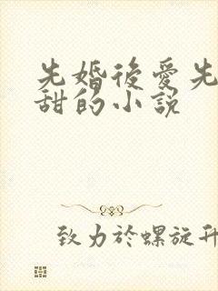 先婚后爱先虐后甜的小说
