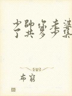 少帅你老婆又跑了共多少集
