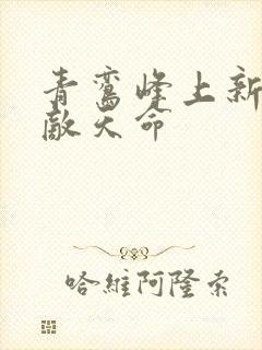 青鸾峰上新书无敌天命