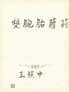 双胞胎萝莉小说