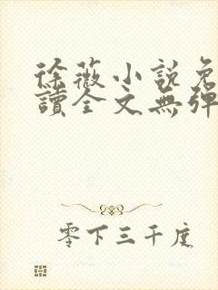 徐薇小说免费阅读全文无弹窗