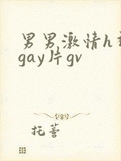 男男激情h视频gay片gv