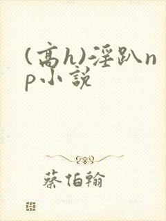 (高h)淫趴np小说封面