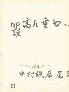 np高h重口小说