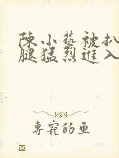 陈小艺被扒开双腿猛烈进入封面