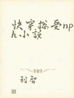 快穿总受np高h小说封面