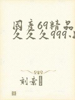 国产69精品久久久久999小说