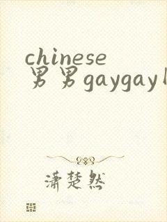 chinese男男gaygay网封面