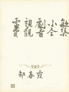 电视剧小敏家免费观看全集多少集