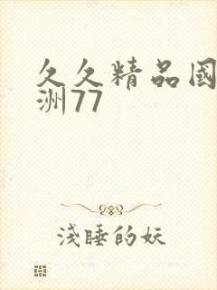 久久精品国产亚洲77