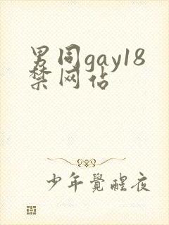 男同gay18禁网站