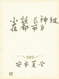 小说《神级高手在都市》