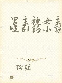 男主被女主深深吸引的小说封面