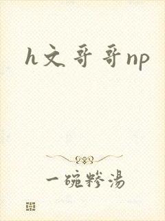 h文哥哥np