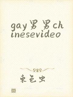 gay男男chinesevideo
