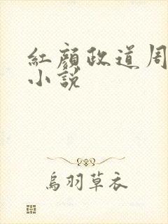 红颜政道周平的小说