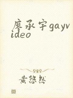 廖承宇gayvideo