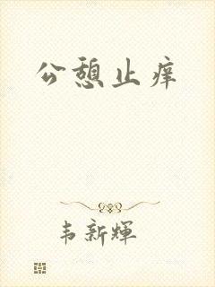 公憩止痒封面