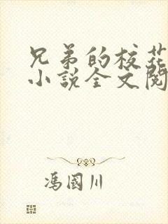 兄弟的校花女友小说全文阅读