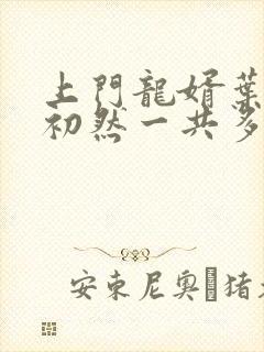 上门龙婿叶辰萧初然一共多少集