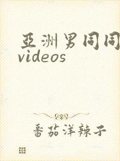 亚洲男同同性恋videos