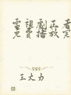 电视剧正者无敌免费播放完整版全集