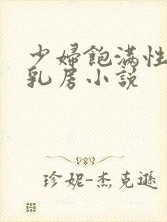 少妇饱满性感的乳房小说封面