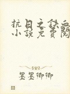 抗日之铁血连长小说免费阅读