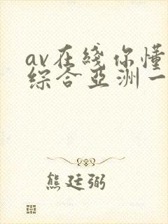 av在线你懂的综合亚洲一区