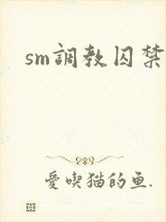 sm调教囚禁文
