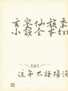 玄鉴仙族季越人小说全本txt下载封面