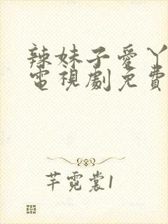 辣妹子爱丫爱丫电视剧免费播放封面