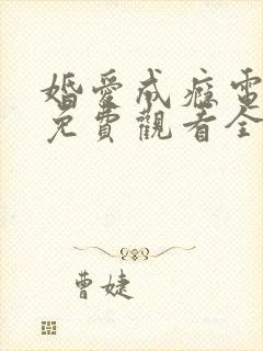 婚爱成瘾电视剧免费观看全集封面