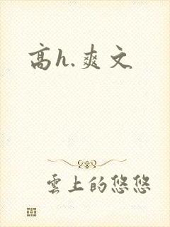 高h.爽文