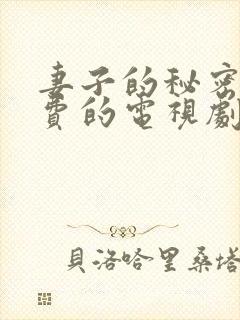 妻子的秘密5免费的电视剧完整版高清