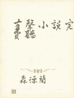 有声小说完结免费听封面