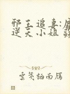 邪王追妻:废材逆天小姐 苏小暖