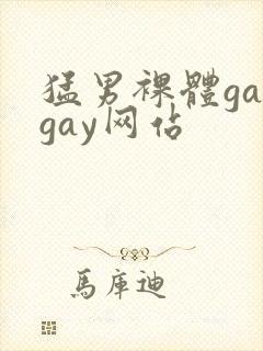 猛男裸体gaygay网站封面