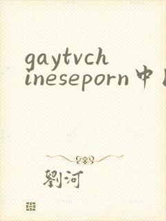 gaytvchineseporn中国帅哥gay封面